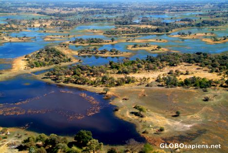 Postcard Okavango Delta