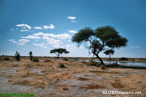 Postcard Waterhole in Chobe Nationalpark south