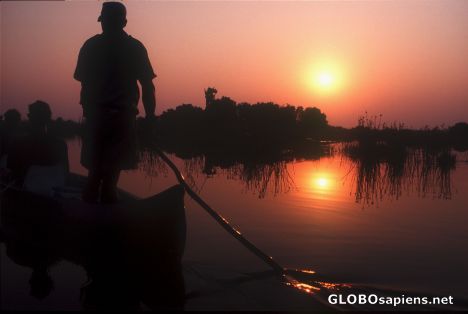 Postcard Okavango