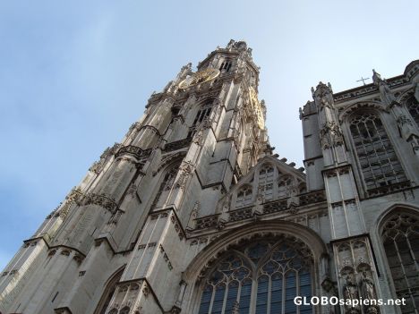 Postcard The Cathedral of our Lady