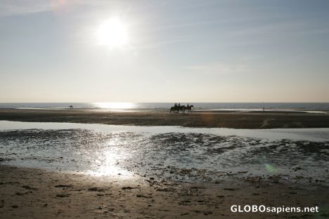 Postcard De Haan