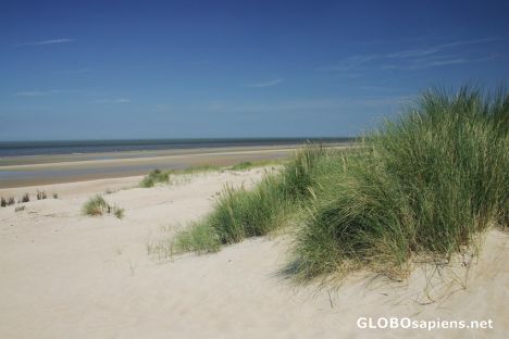 Postcard De Haan