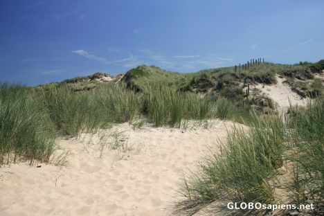 Postcard De Haan