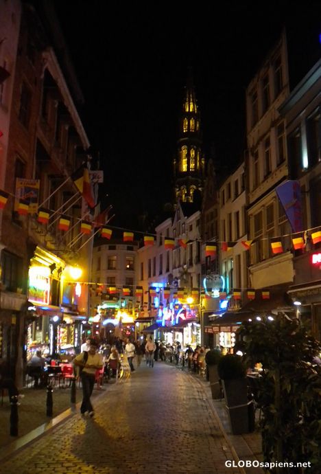Postcard City Lights
