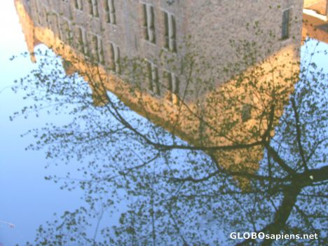 Postcard Reflection