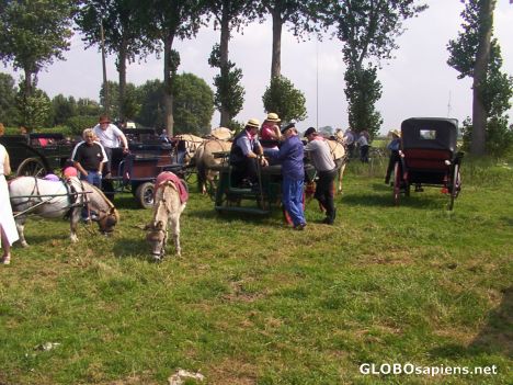 Postcard Fiesta in Moere