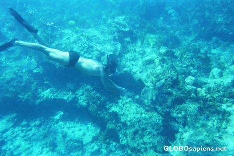 Postcard Free diving at the coast of New Providence Island