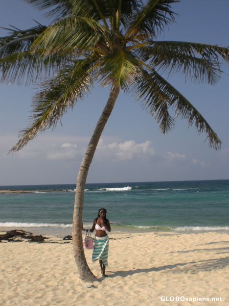 Postcard Paradise Island, Cove Beach at Atlantis resort