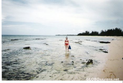 Postcard Snorkeling