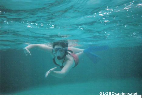 Postcard Snorkeling at Paradise Cove