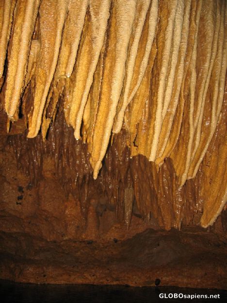 Postcard Stalactites in Barton Caves