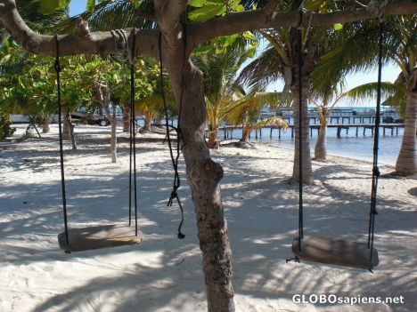 Postcard Caye Caulker, Belize