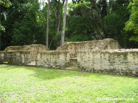 Postcard Caracol