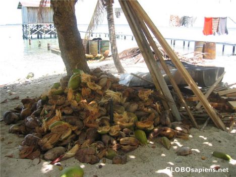 Postcard Tobacco Caye