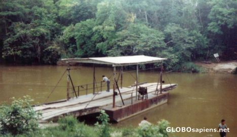 Postcard Ferry Bridge near San Ignacio