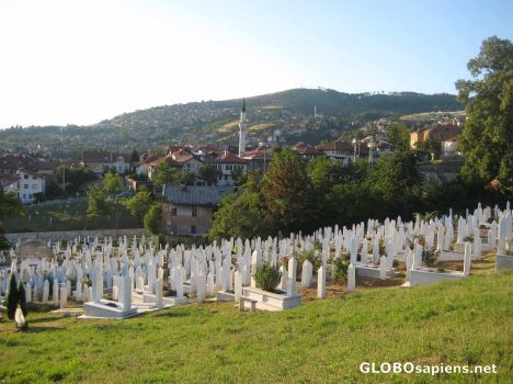 Postcard Cementery in Sarajevo