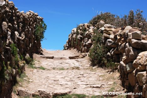Postcard isla del sol walkway