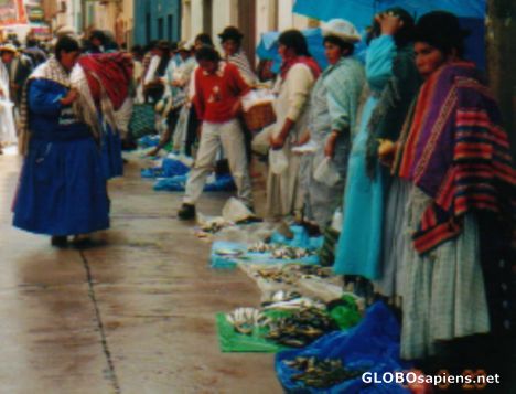 Postcard The local fishmarket