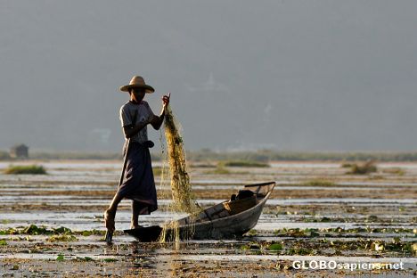 Fisherman on Inle lake