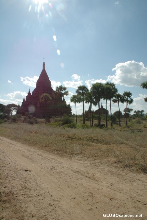 Postcard Bagan - Myanmar