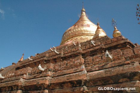 Postcard Bagan - Myanmar