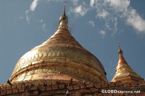 Postcard Bagan - Myanmar