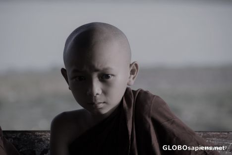 Postcard The Young Monk