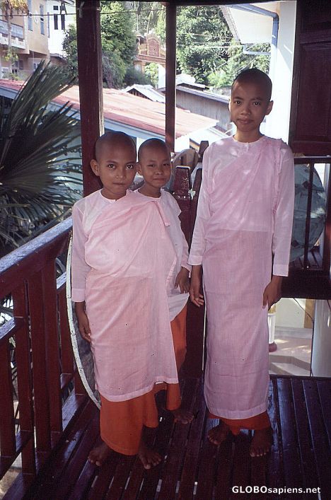 Postcard Nuns in the monastery Zayertheigi