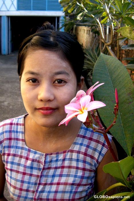 Postcard A Burmese Beauty
