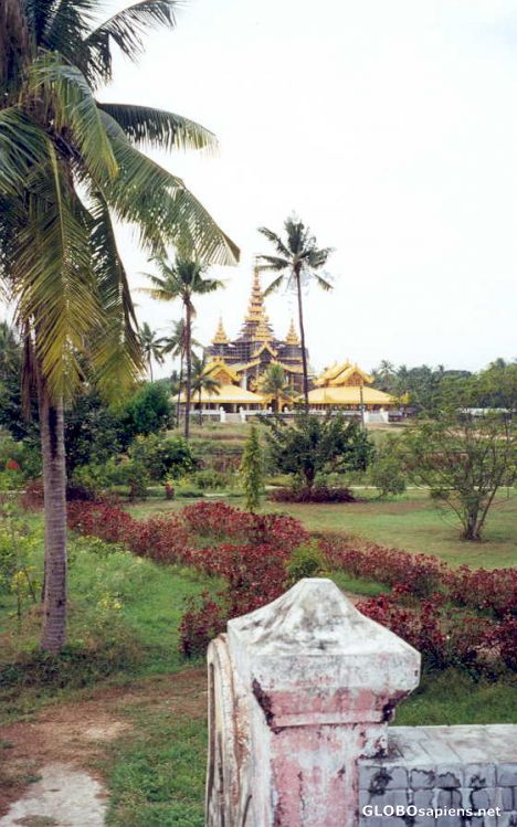 Postcard Bee Hive Throne, Bago