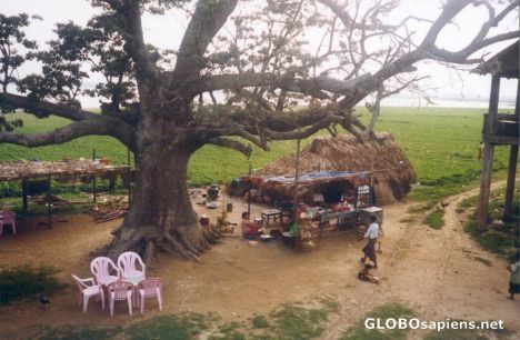 Postcard Aramapura