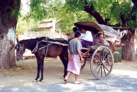 Postcard High-wheeled Horse Cart, Pagan