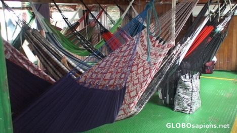 Postcard Hammocks on the deck