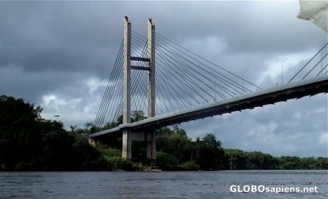 Postcard Bridge in the jungle