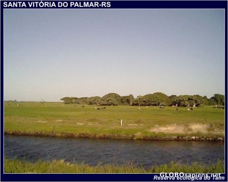 Postcard Reserva Ecológica do Taim