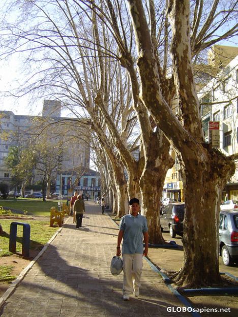Postcard Praça Tamandaré
