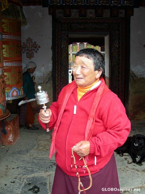 Postcard Buddhist Pilgrim