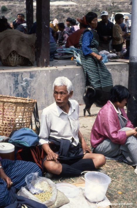 Postcard Old Man