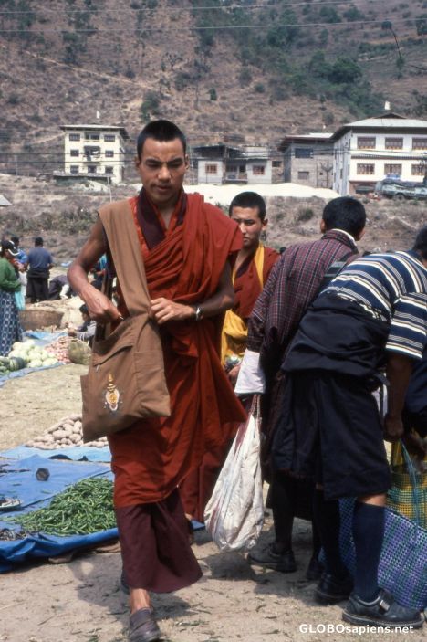 Postcard Young monk