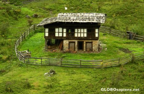 local farm