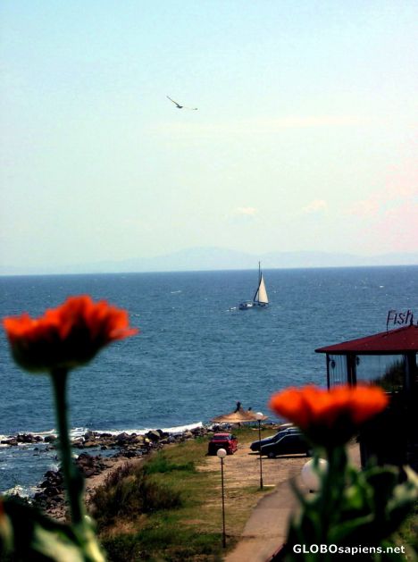 Postcard Black sea