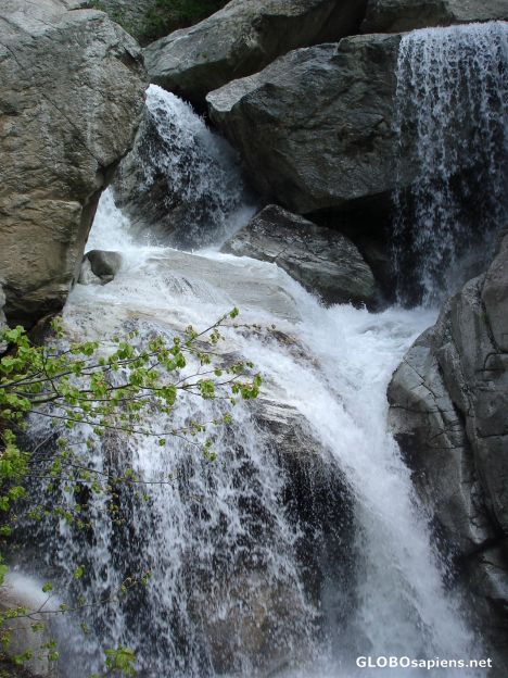 Postcard Cascades