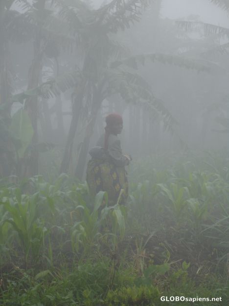 Postcard Girl in the mist.
