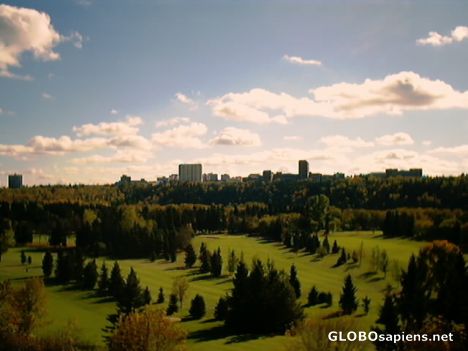 Postcard Edmonton's river valley