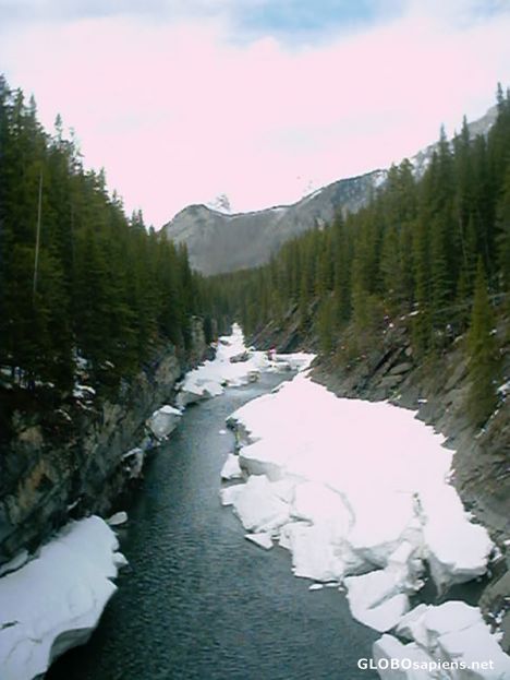 Postcard A stream thats feeds Lake Minnewanka