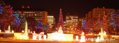 Postcard Ice Sculptures