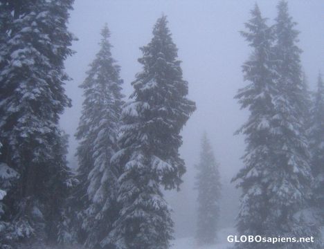Postcard Mount Seymour