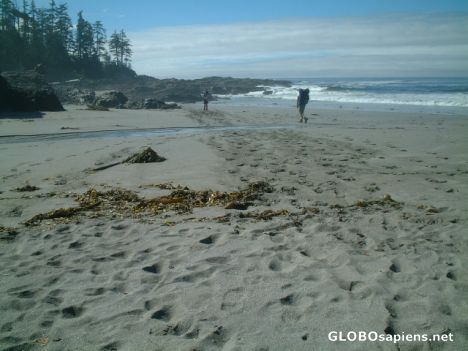 Postcard nootka sound