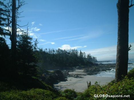 Postcard nootka sound on a sunny day