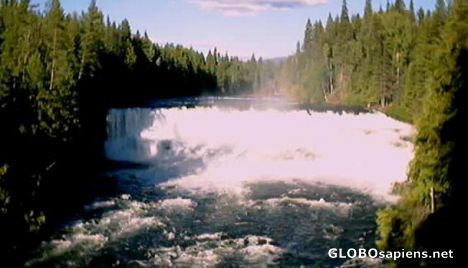 Postcard Dawson Falls